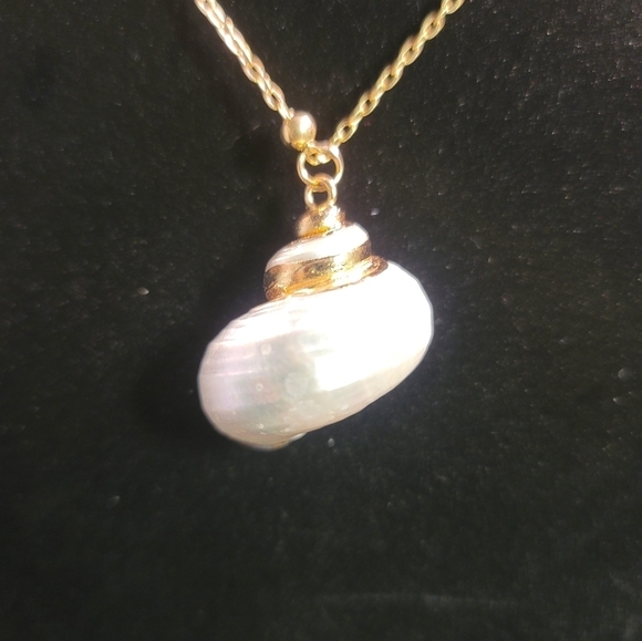 0288. What else will you need at the Cabana!! - Picture 13 of 15